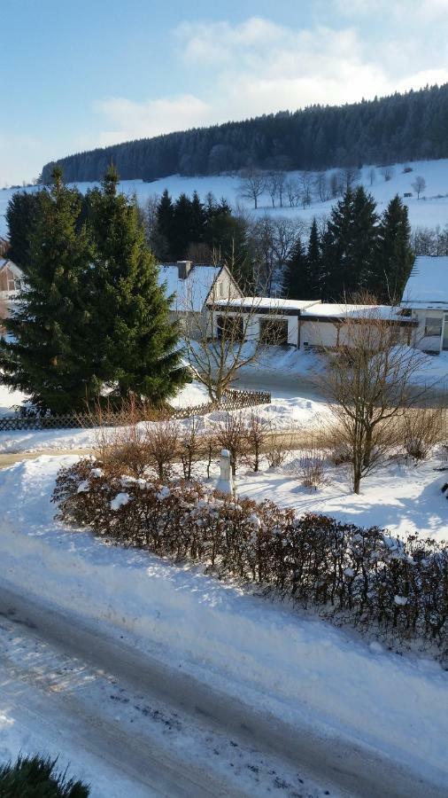 Fewos 4-Jahreszeiten Willingen  Exterior photo