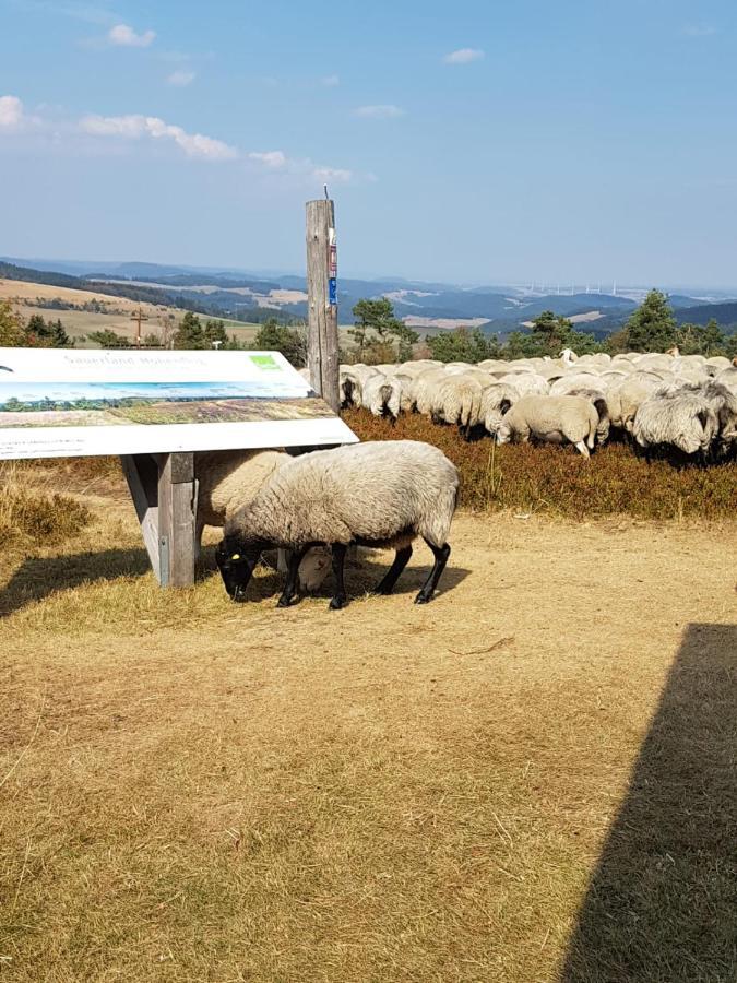 Fewos 4-Jahreszeiten Willingen  Exterior photo